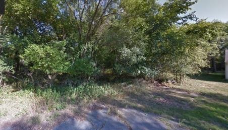 Buildable vacant lot near Marquette Park and Lake Michigan's - Beach Lot for sale in Gary, Indiana on Beachhouse.com