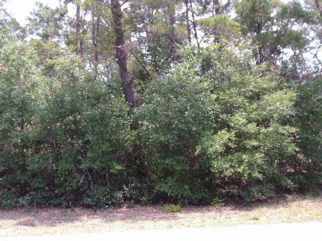 Beautifully wooded lots very near the Bay and Lanark Village - Beach Lot for sale in Carabelle, Florida on Beachhouse.com