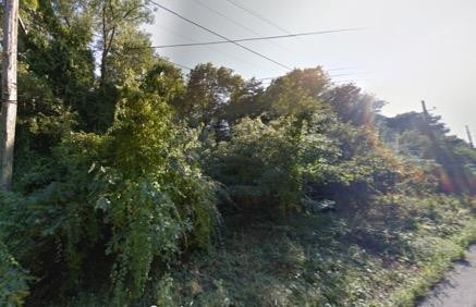 Vacant lot on east side of Miller Beach just blocks from Lake - Beach Lot for sale in Gary, Indiana on Beachhouse.com