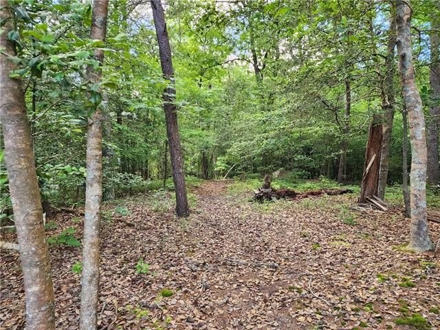 3 lots with lines recently removed, making one large 0.52 parcel - Beach Lot for sale in Gloucester, Virginia on Beachhouse.com