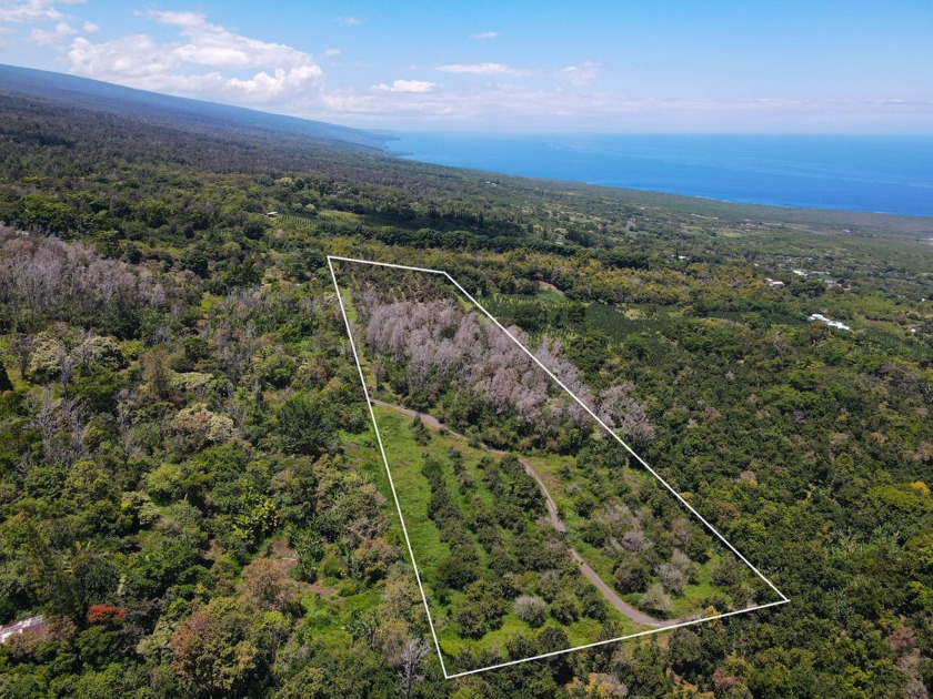 This is a KSBE Leasehold Farm - Beach Acreage for sale in Captain Cook, Hawaii on Beachhouse.com