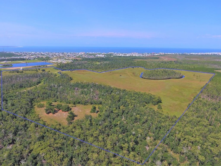 110 +/- Acres Prime Development Opportunity on busy County Road - Beach Acreage for sale in Mexico Beach, Florida on Beachhouse.com