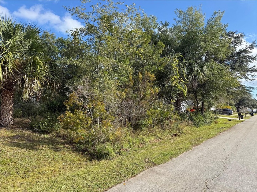 Come take a look at this fantastic opportunity in the - Beach Lot for sale in Palm Coast, Florida on Beachhouse.com