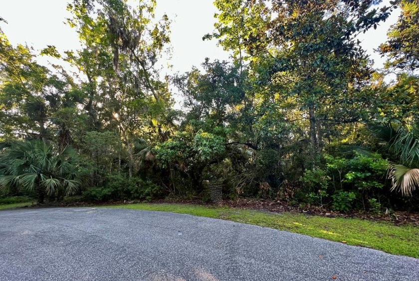 One acre + lot with privacy, perfect building parcel for home - Beach Lot for sale in Apalachicola, Florida on Beachhouse.com