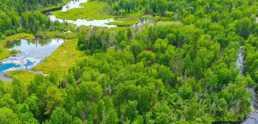 The Perfect Northwoods Retreat With half a Private Lake! Tucked - Beach Lot for sale in Duluth, Minnesota on Beachhouse.com