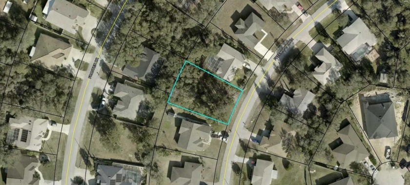 This beautiful HIGH & DRY lot is located on a super nice and - Beach Lot for sale in Palm Coast, Florida on Beachhouse.com