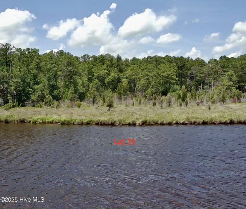 Welcome to Lot 70 in Winfield Estate! This stunning 1.73-acre - Beach Lot for sale in Belhaven, North Carolina on Beachhouse.com