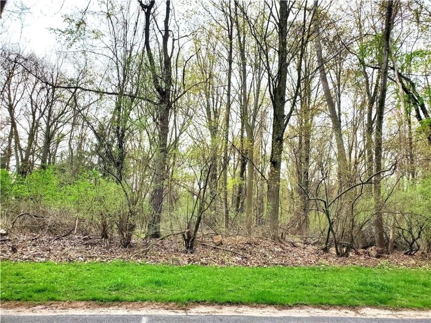 RARE FIND! PRIVATE BUILDING LOT IN DESIRABLE SUBDIVISION *100 X - Beach Lot for sale in Webster, New York on Beachhouse.com