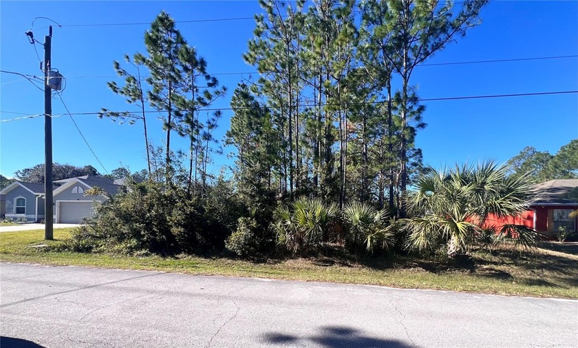 Build your dream home in the desirable Seminole Woods - Beach Lot for sale in Palm Coast, Florida on Beachhouse.com