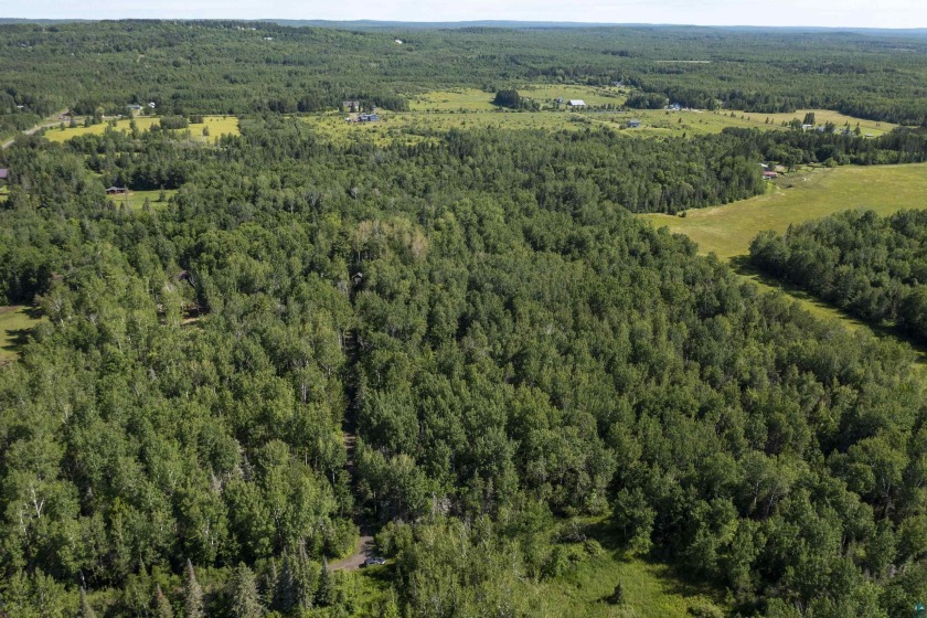 Now is your chance to own 3 acres of raw land that is nestled up - Beach Lot for sale in Duluth, Minnesota on Beachhouse.com