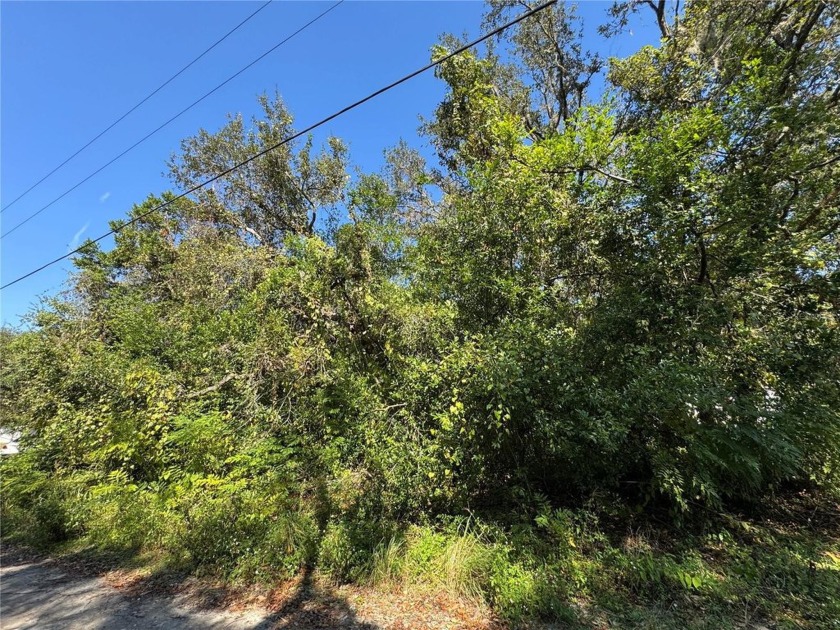 This perfect 0.27-acre vacant land in New Port Richey consisting - Beach Lot for sale in New Port Richey, Florida on Beachhouse.com