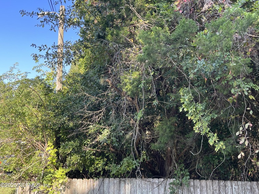 We are back again. Go take a look at this wonderful area to - Beach Lot for sale in Green Cove Springs, Florida on Beachhouse.com