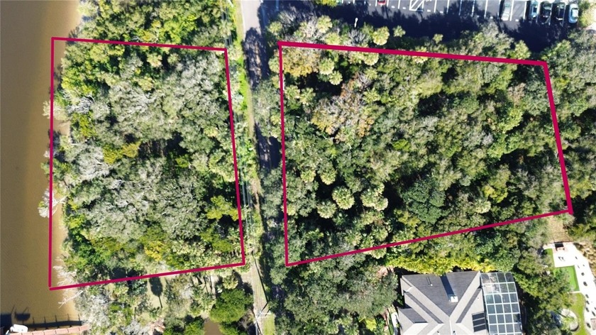 Possibilities abound on this rare 1.55 acre lot with 244' of - Beach Lot for sale in Ormond Beach, Florida on Beachhouse.com