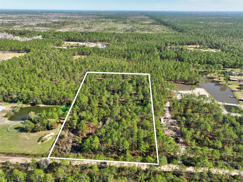5 acres of private wooded land in Ormond Beach with Flagler - Beach Acreage for sale in Ormond Beach, Florida on Beachhouse.com