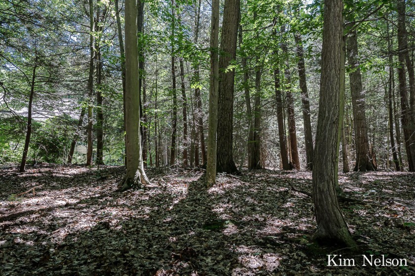 Looking to build your dream home? This beautifully wooded .98 - Beach Lot for sale in Whitehall, Michigan on Beachhouse.com