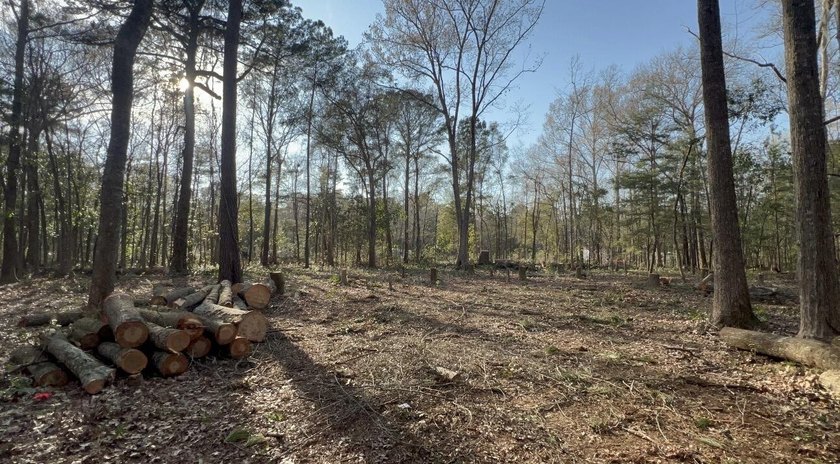 Approximately 4 acres of beautiful Lowcountry property tucked - Beach Acreage for sale in Johns Island, South Carolina on Beachhouse.com