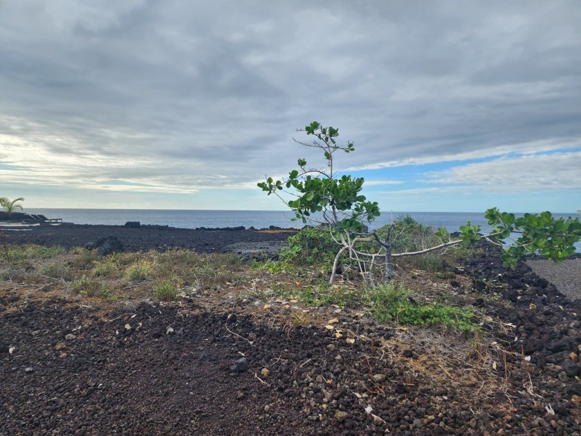 Ocean front lot with breathtaking views.  This lot has nice - Beach Lot for sale in Captain Cook, Hawaii on Beachhouse.com