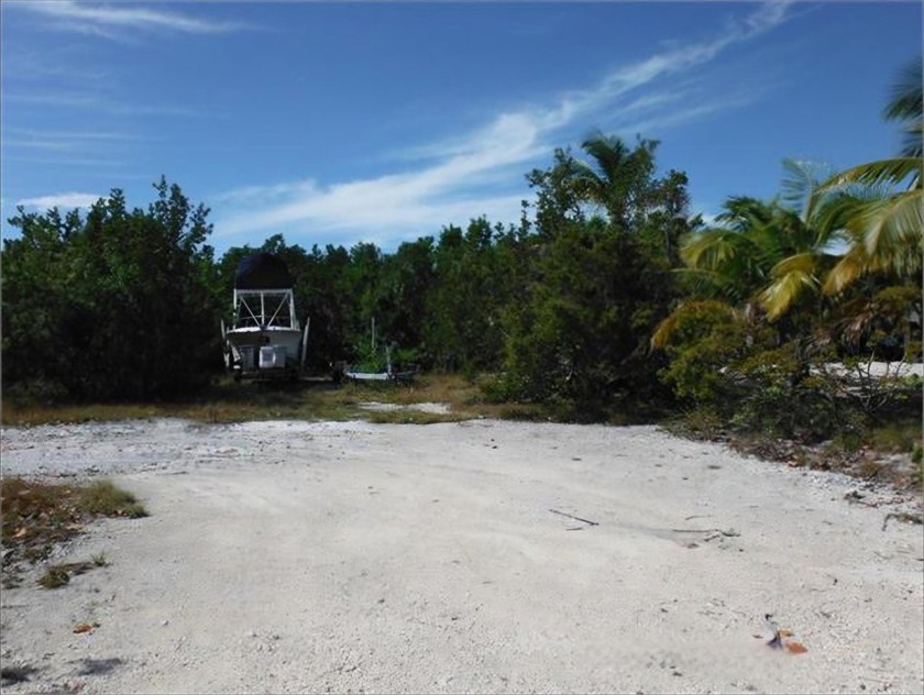 Discover this spacious and partially cleared Tier II Lot nestled - Beach Lot for sale in Big Pine Key, Florida on Beachhouse.com