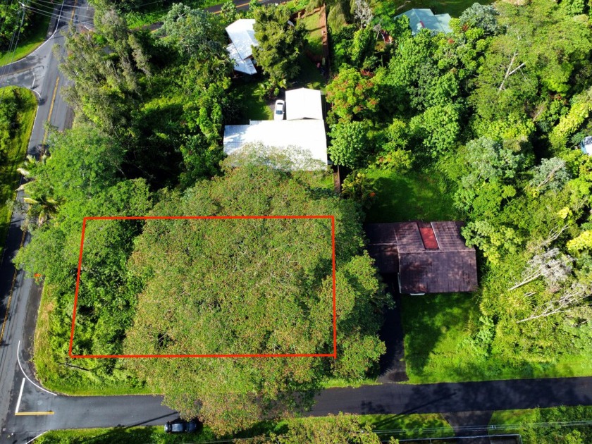 Priced below market value!! This prime corner lot on N. Kawakawa - Beach Lot for sale in Pahoa, Hawaii on Beachhouse.com