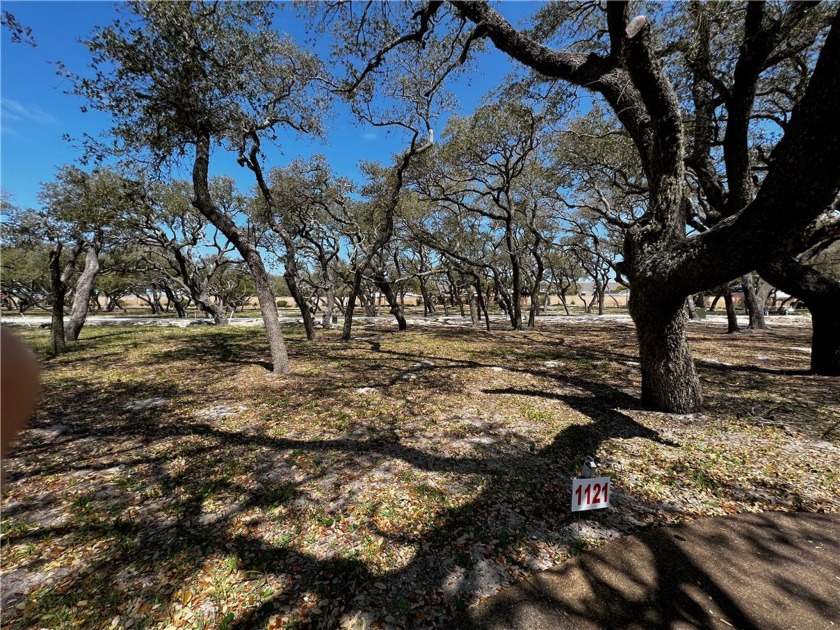 See what is behind the gate at Royal Oaks! The name says it all - Beach Lot for sale in Fulton, Texas on Beachhouse.com