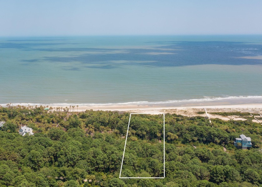 Discover the epitome of coastal living with this exclusive - Beach Lot for sale in Dewees Island, South Carolina on Beachhouse.com