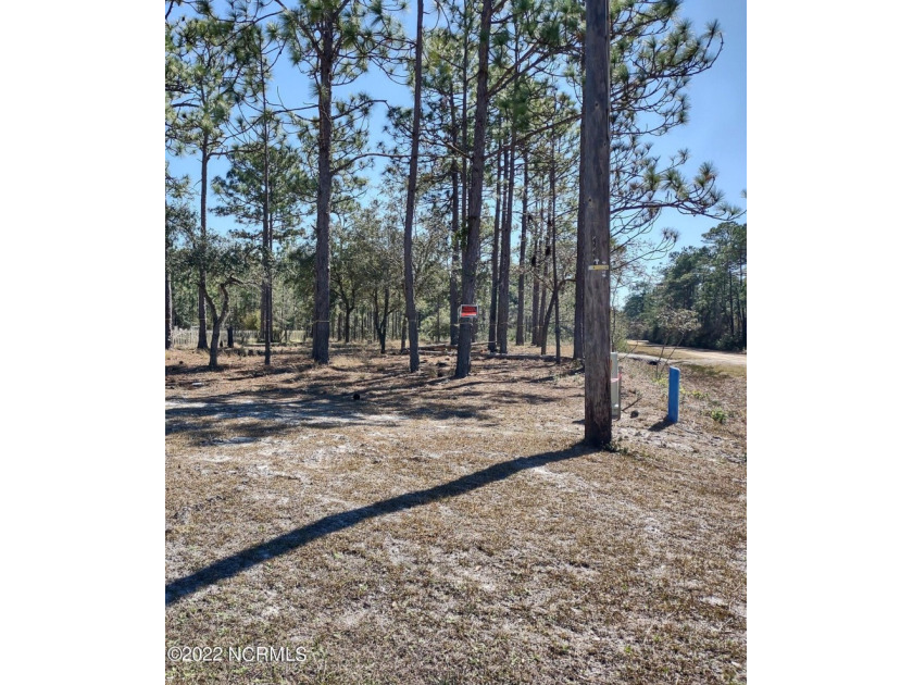This corner lot in the peaceful town of Boiling Spring Lakes is - Beach Lot for sale in Southport, North Carolina on Beachhouse.com