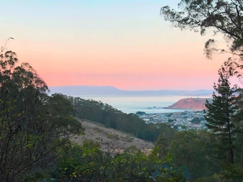 NEW PRICE PLUS IMPROVEMENTS! Enjoy ocean views and endless - Beach Lot for sale in Pacifica, California on Beachhouse.com