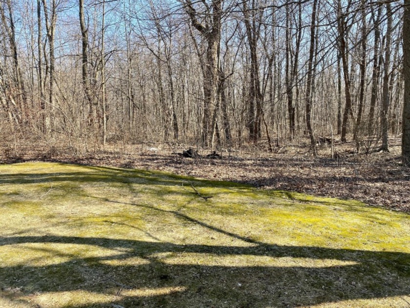 Build your dream house on this partially wooded half-acre lot in - Beach Lot for sale in New Buffalo, Michigan on Beachhouse.com