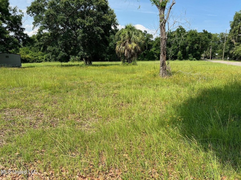 Take a look at this cleared, level lot , one block from the - Beach Lot for sale in Pass Christian, Mississippi on Beachhouse.com