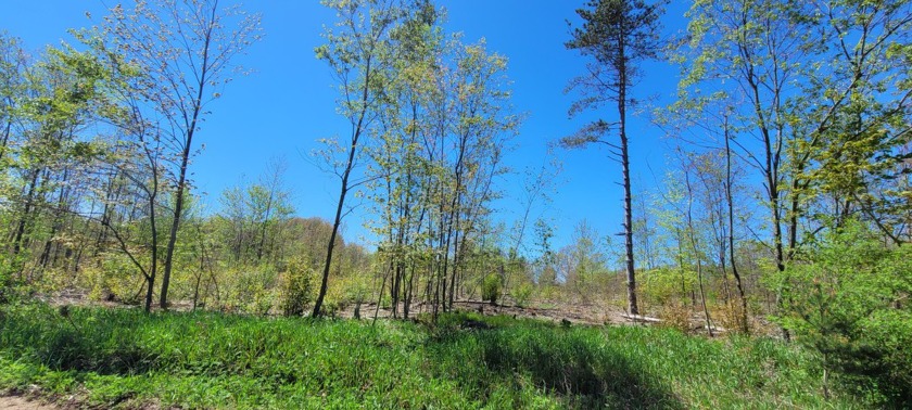 40 Acres of land in Golden Township.   Square 40 with survey to - Beach Acreage for sale in Mears, Michigan on Beachhouse.com