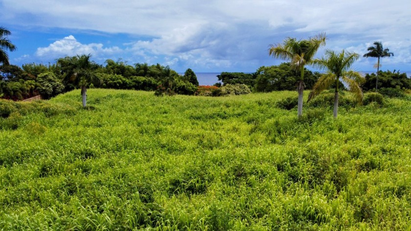 More than five acres of rolling terrain covered with grass and - Beach Acreage for sale in Ninole, Hawaii on Beachhouse.com