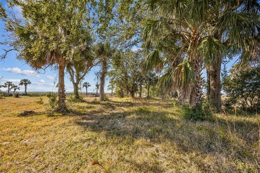 Welcome to The Island Lot! This rare 4.2-acre waterfront - Beach Acreage for sale in Jacksonville, Florida on Beachhouse.com