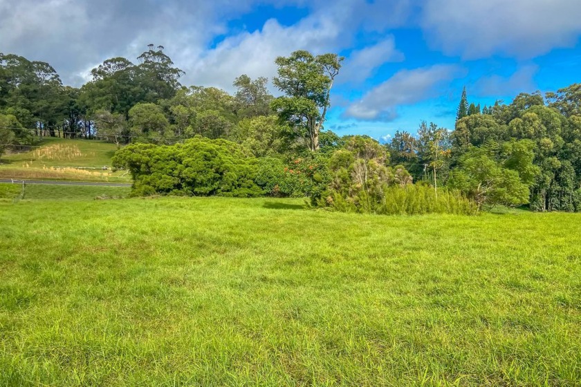 Lush pasture grass and deep soil with several possible building - Beach Acreage for sale in Honokaa, Hawaii on Beachhouse.com