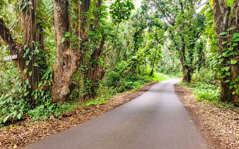 A most remarkable lot fronting the beach area and swimable ocean - Beach Acreage for sale in Pahoa, Hawaii on Beachhouse.com