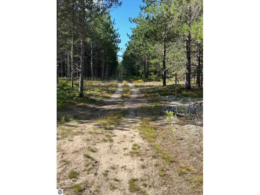 80 acres of beauty nestled in the heart of the Hiawatha National - Beach Acreage for sale in Munising, Michigan on Beachhouse.com