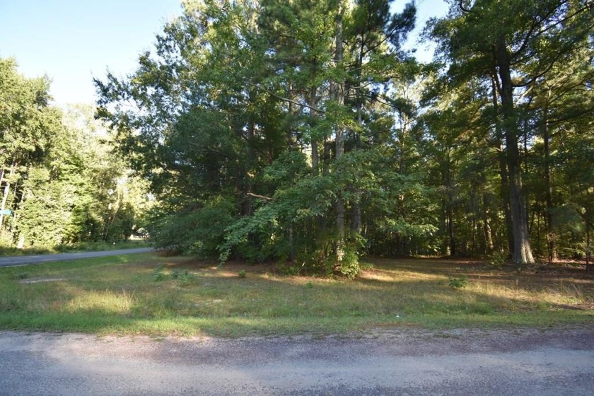 This is a corner lot in one of the most beautiful communities in - Beach Lot for sale in Montross, Virginia on Beachhouse.com