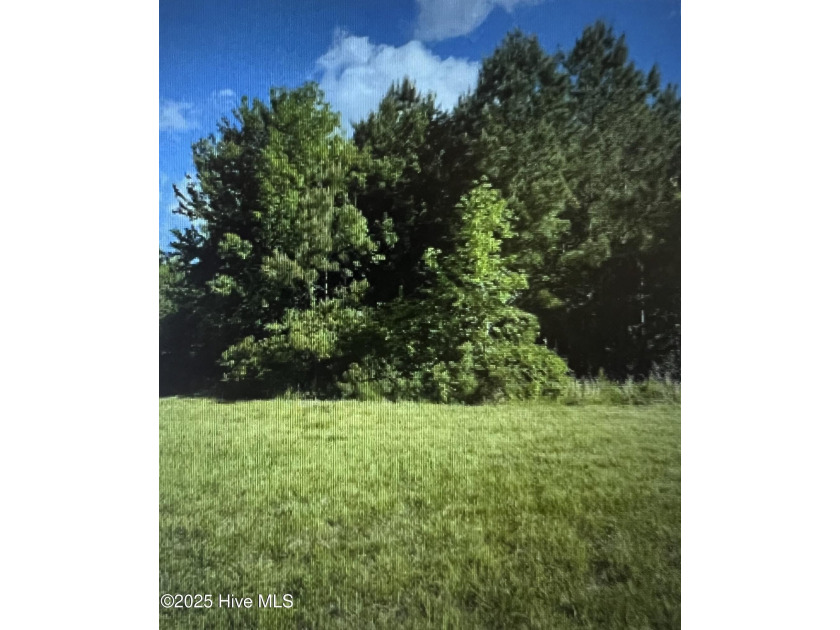 Discover 10.01 acres of serene, mostly wooded land located at - Beach Acreage for sale in Hertford, North Carolina on Beachhouse.com