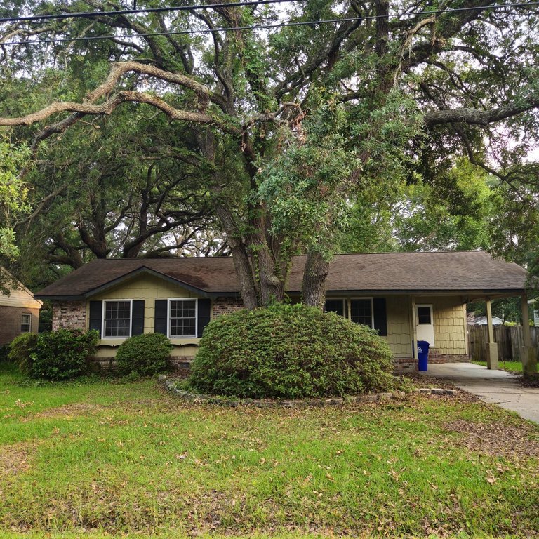 No flood insurance required.  15 minutes to downtown Charleston - Beach Home for sale in Charleston, South Carolina on Beachhouse.com