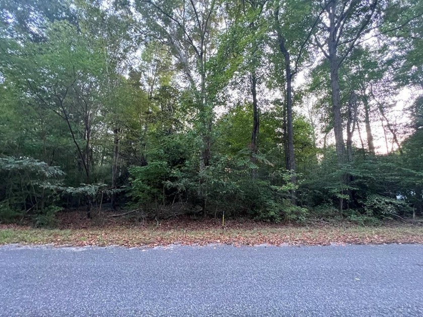 Beautiful wooded lot in waterfront community with access to the - Beach Lot for sale in Montross, Virginia on Beachhouse.com