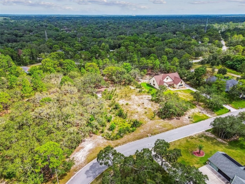 Build Your Florida Dream Home in Autumn Oaks!
Welcome to one of - Beach Lot for sale in Hudson, Florida on Beachhouse.com