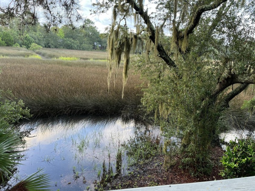 Convenient Marshfront Living in the Center of Mount Pleasant! - Beach Home for sale in Mount Pleasant, South Carolina on Beachhouse.com