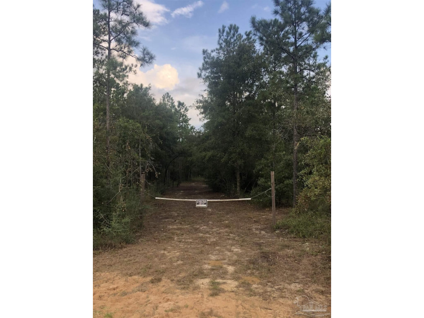 This parcel is 100% buildable with a winding driveway leading to - Beach Acreage for sale in Pace, Florida on Beachhouse.com