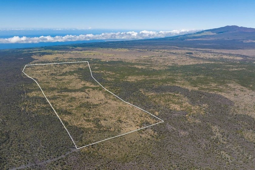 Rare Sandalwood & Koa Forest in South Kona Exceptional - Beach Acreage for sale in Kealakekua, Hawaii on Beachhouse.com