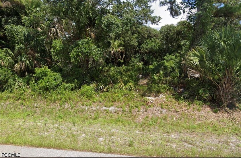Enjoy the benefits of a no flood zone location along with - Beach Lot for sale in North Port, Florida on Beachhouse.com