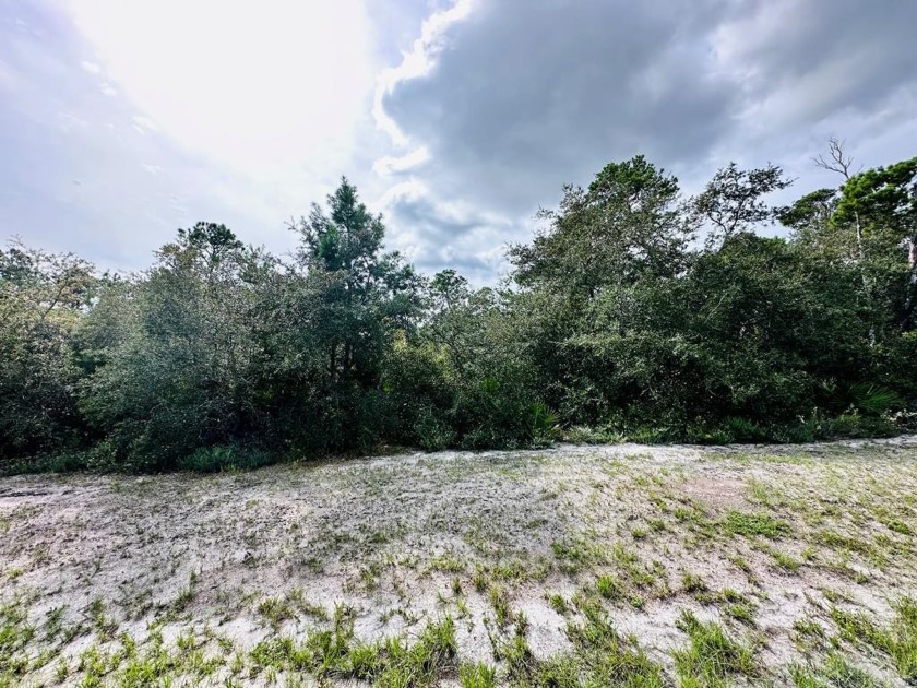 Here's your chance to own a beautiful lot in the gated community - Beach Lot for sale in Eastpoint, Florida on Beachhouse.com