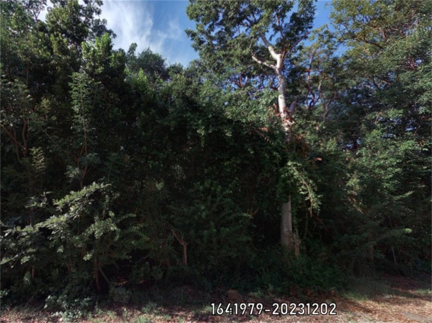 Tier 1 for you. No plans or permits applied for.Wooded Lot - Beach Lot for sale in Key Largo, Florida on Beachhouse.com
