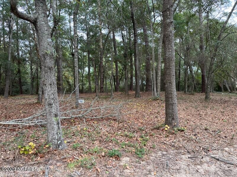 If your client is looking for a large lot in a beautiful marina - Beach Lot for sale in Supply, North Carolina on Beachhouse.com