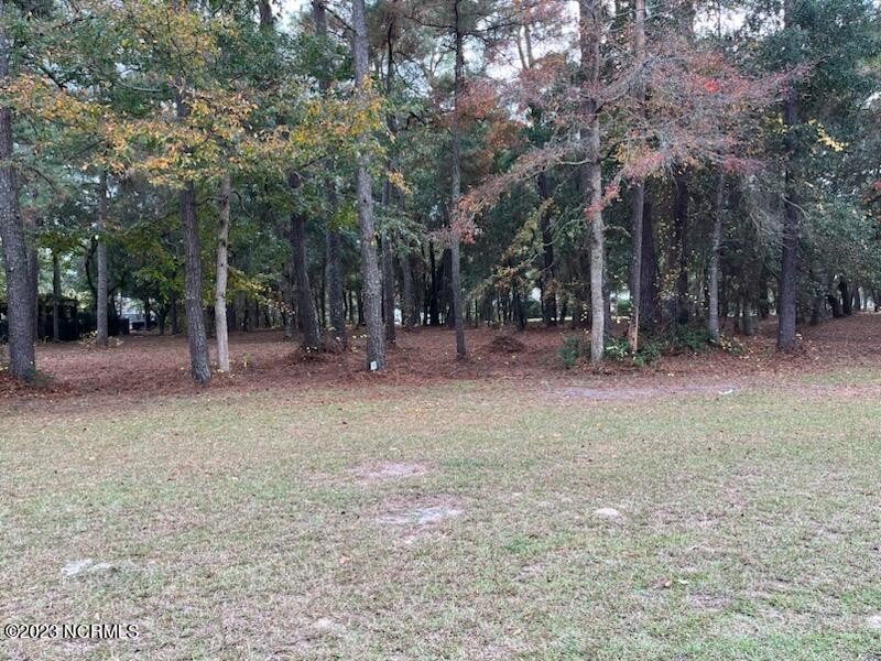 Great value on this home site in SeaScape. Beautiful trees on - Beach Lot for sale in Supply, North Carolina on Beachhouse.com