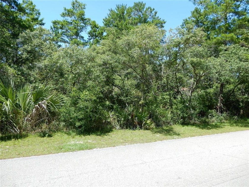 LOCATION, LOCATION, LOCATION! This Vacant lot is LOCATED just 1 - Beach Lot for sale in Carabelle, Florida on Beachhouse.com