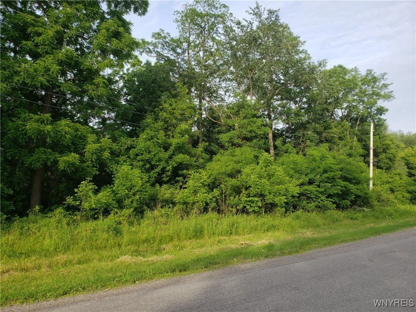 Welcome to 3835 Chase Rd., Middleport NY. This property has 8.6 - Beach Acreage for sale in Middleport, New York on Beachhouse.com